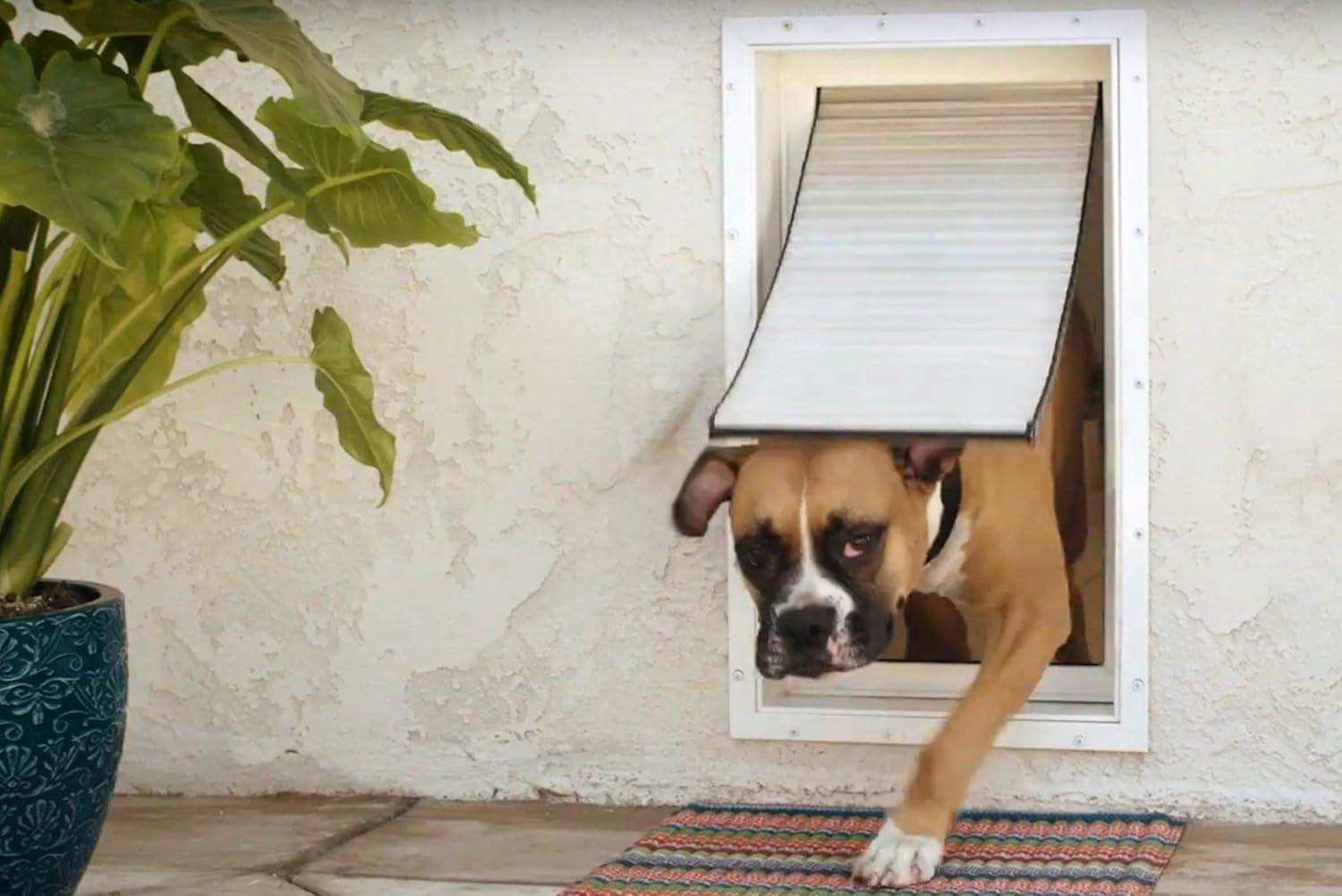 High Tech Pet Metal Wall Mounted Electronic Pet Door