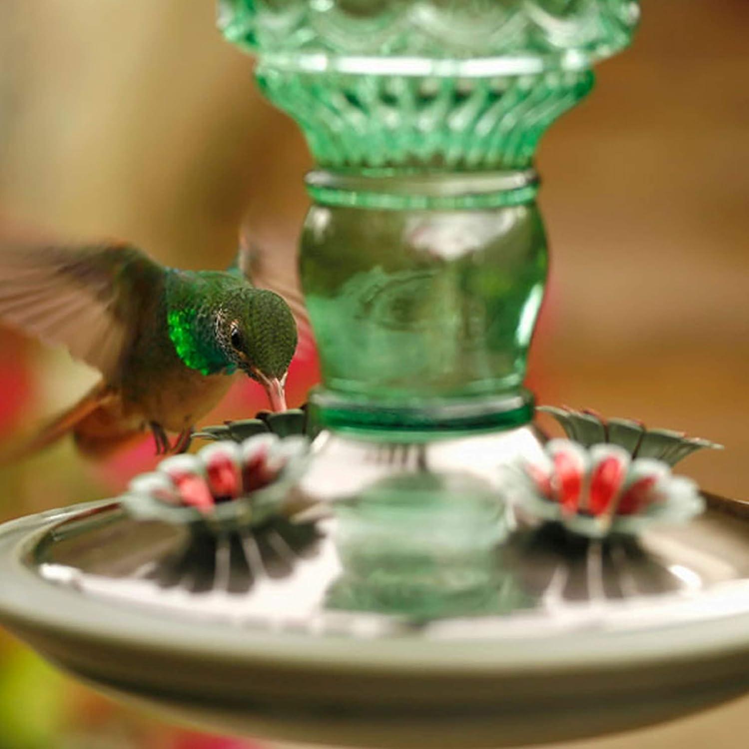 Woodstream Glass Hanging Soda Bottle Feeder