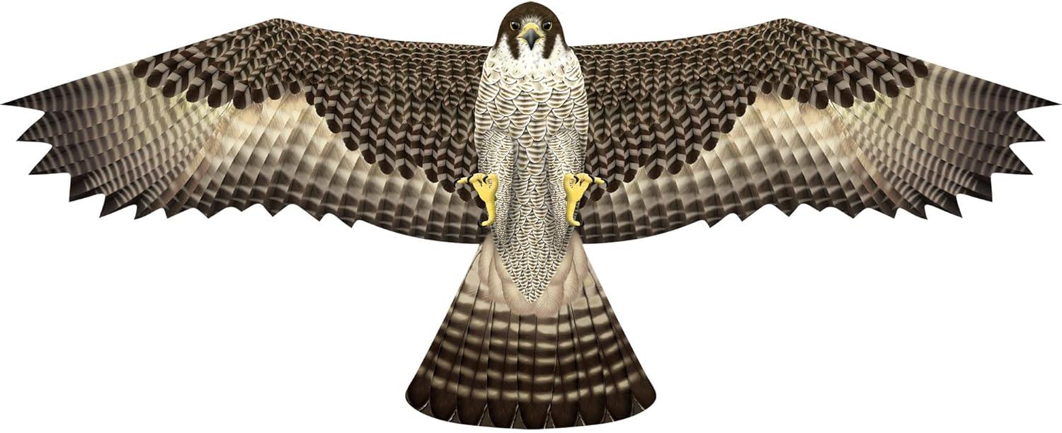 Brain Storm X Kites Birds of Prey Kite 48 Falcon
