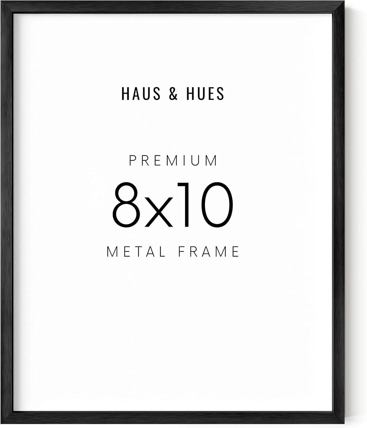 Haus and Hues Brushed Metal Single Picture Frame