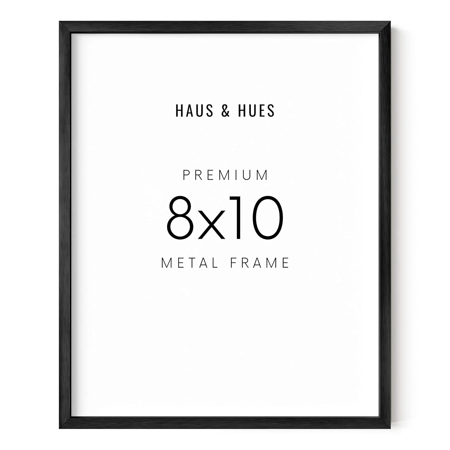 Haus and Hues Aluminum Frame (Set Of 1) Metal Picture Frame