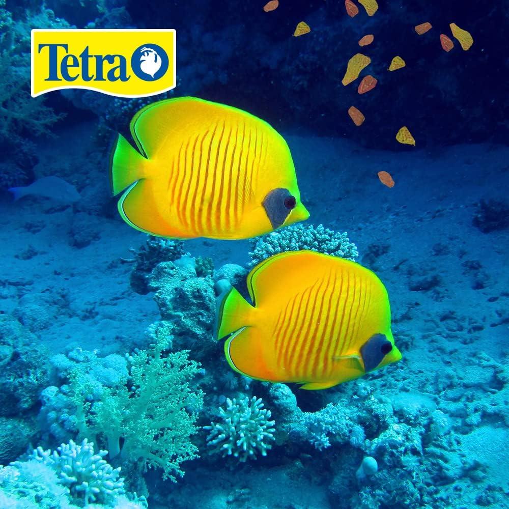 Tetra Tropical Large Flakes Nutritionally Balanced Fish Flavor Dry Fish Food - 5.65oz