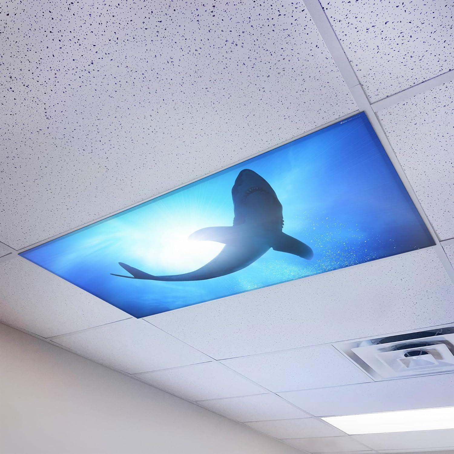 Octo Lights OCE-007-MGT-2x4 Ocean - Magnetic Fluorescent Light Cover for Ceiling Lights Classroom -  2x4 - by Octo Lights