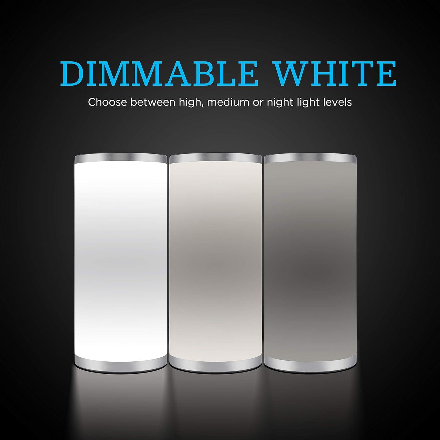 Seasons Color Fusion Lights Table Lamp Silver - Enbrighten: Touch-Controlled, USB Powered, Modern Decor