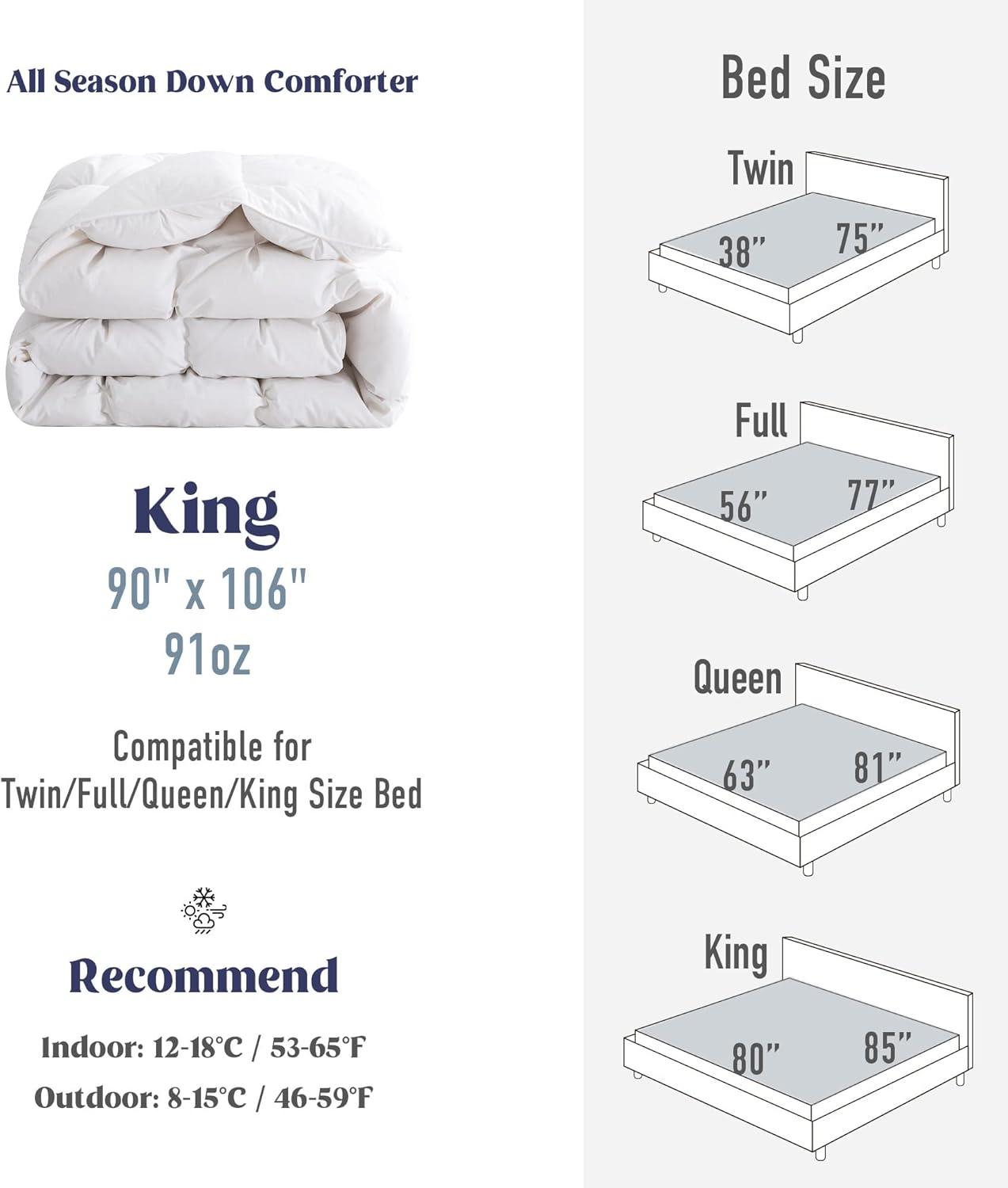 Alwyn Home 600in³/oz Fill Power Winter Goose Down Comforter