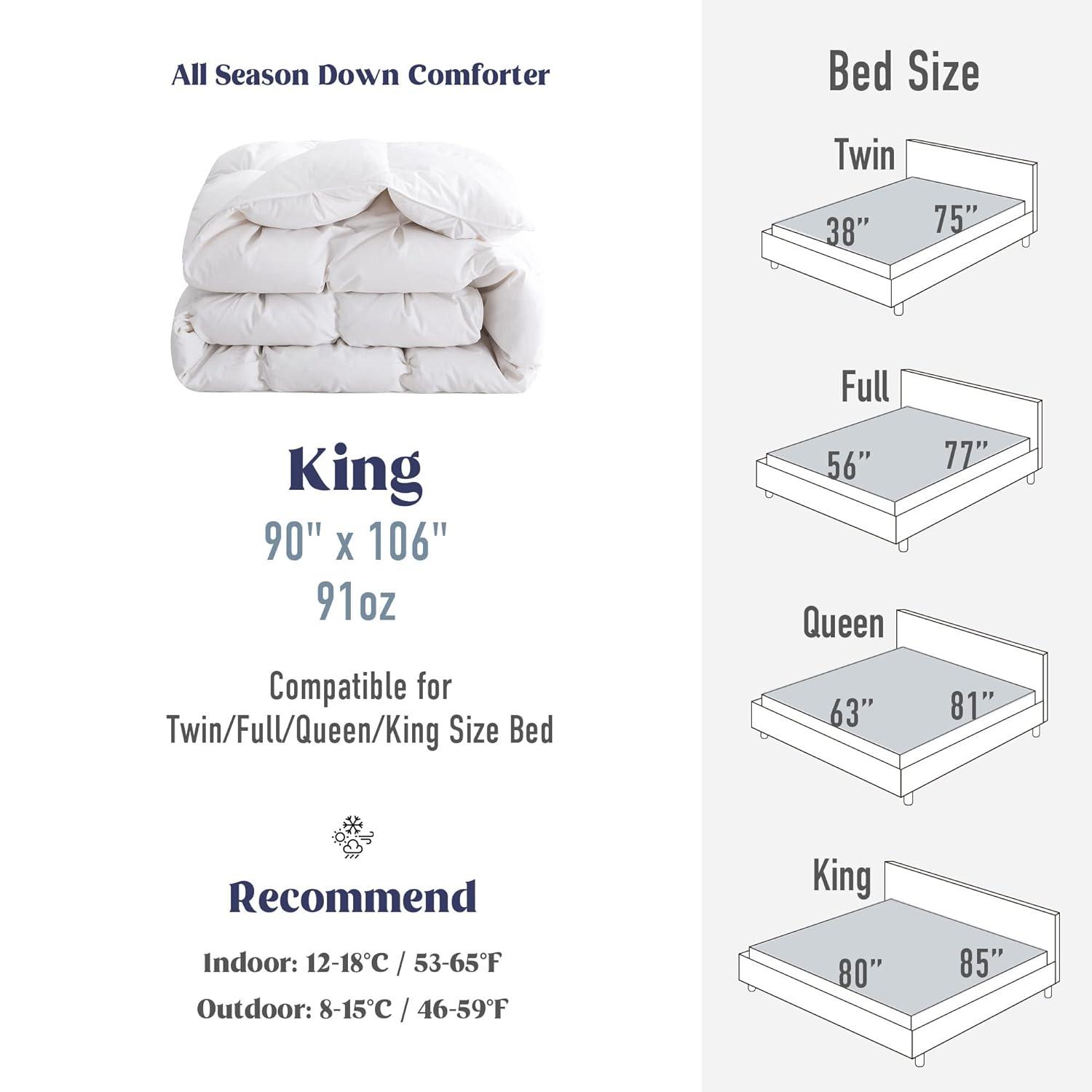 Alwyn Home 600in³/oz Fill Power Winter Goose Down Comforter