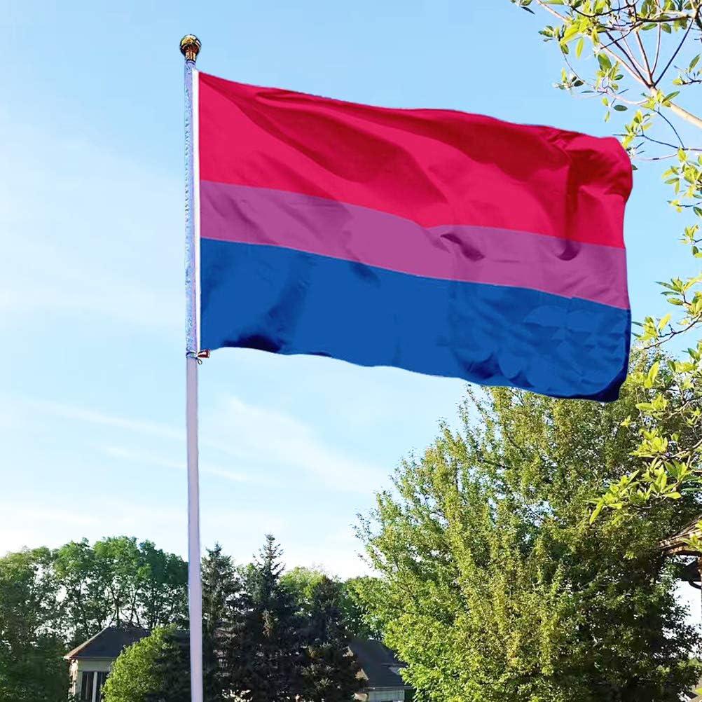 Anley Fly Breeze 3x5 Foot Bi Pride Flag - Bisexual Flags Polyester with Brass Grommets