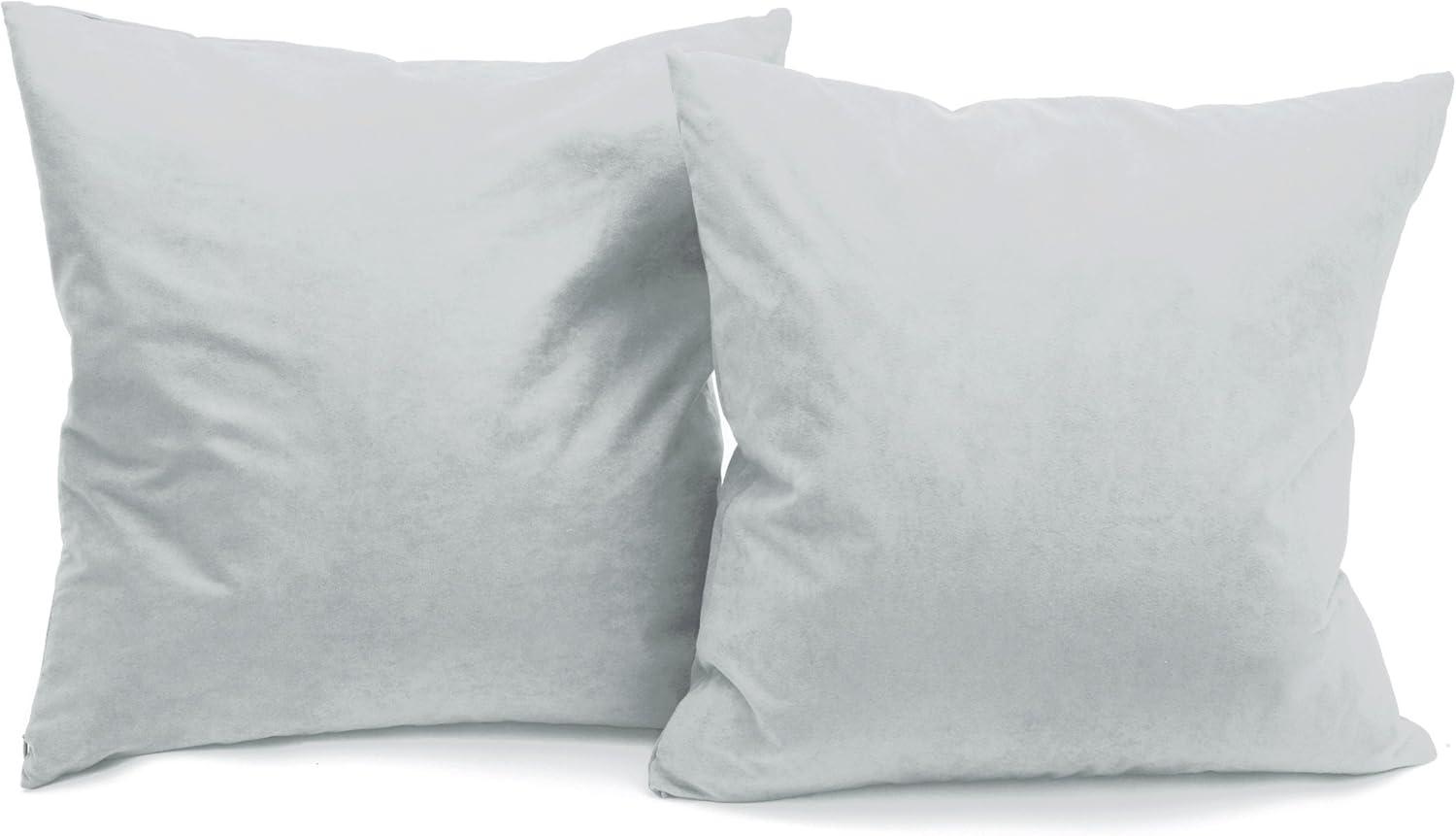 Deluxe Comfort Feather Throw Pillow (Set of 2)