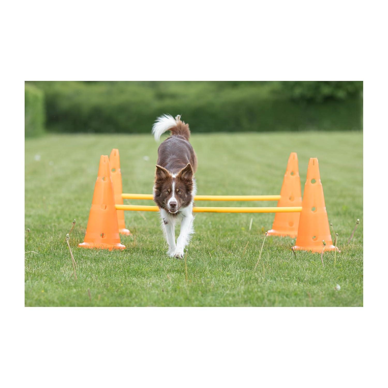 TRIXIE TRIXIE Dog Agility Hurdle Cone Set, Portable Canine Agility Training Set
