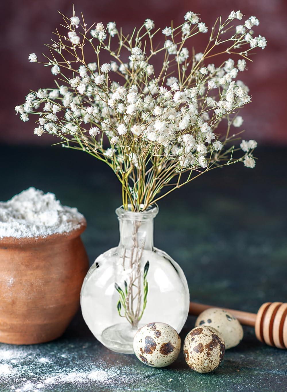 Serene Spaces Living Set of 6 Clear Ball Bud Vases, Transparent Glass Vases for Weddings, Events, Parties, Floral Centerpieces for Home Decor, Measures 4" Tall