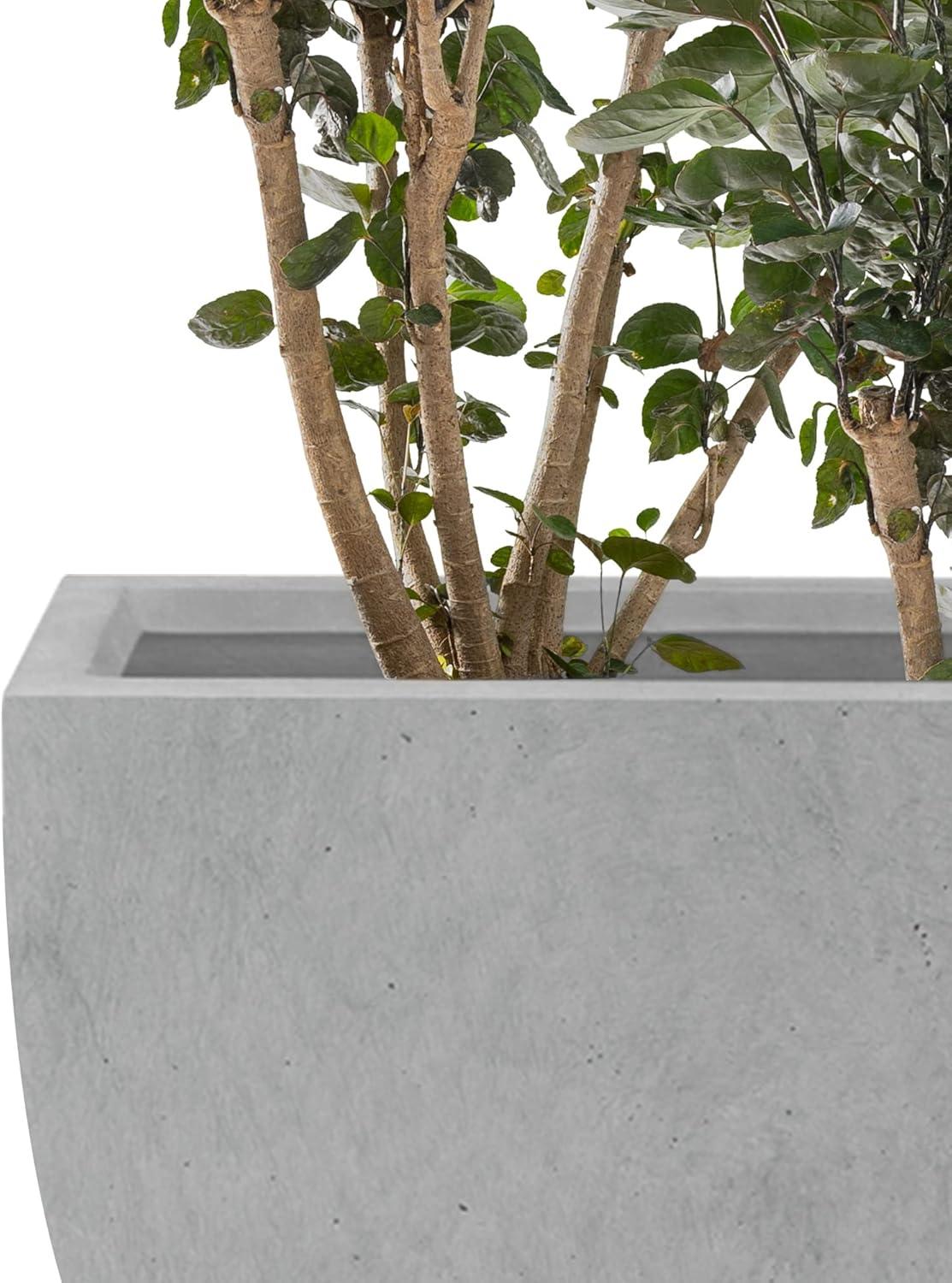 Contemporary Square Medium Natural Concrete Planter 17.7" with Drainage