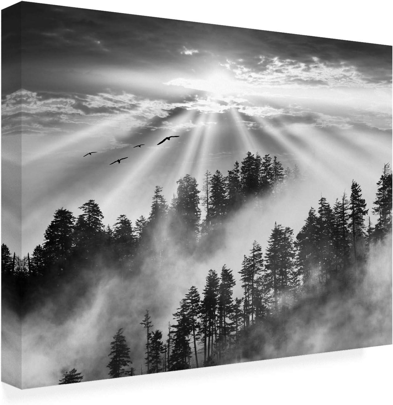 Trademark Fine Art -Monte Nagler 'Smoky Mountain Sunrise Tennessee Black And White' Canvas Art