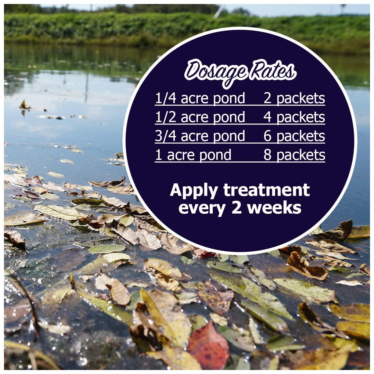 Natural Waterscapes WinterGard Cold Water Bacteria 10 lb Winter Pond Treatment