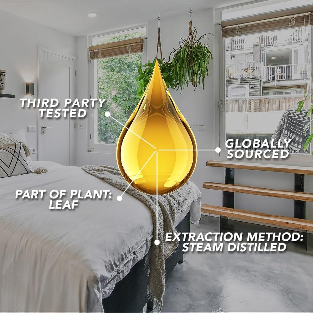 SpaRoom 100% Pure Essential Oils Set; Perfect for Aromatherapy, Diffusers, Humidifiers and Home Care, Spa Day Set of 6 with Bamboo Holder