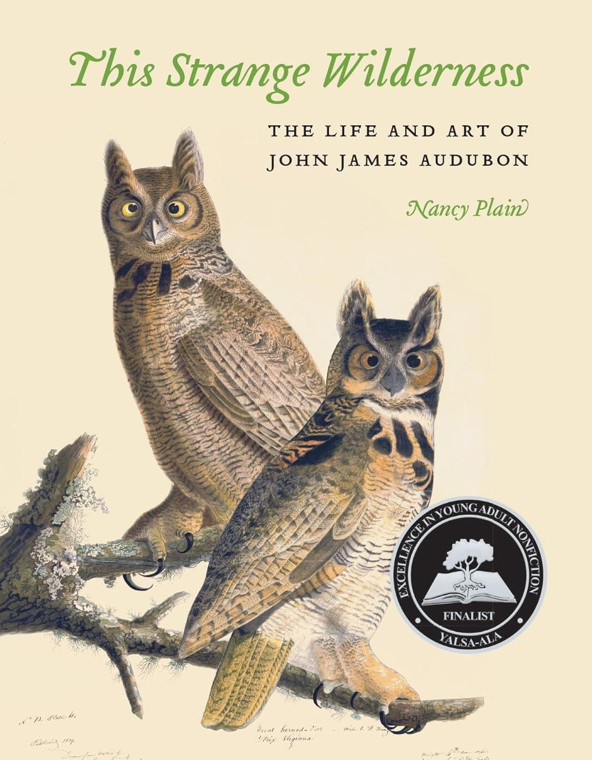 This Strange Wilderness - by  Nancy Plain (Paperback)