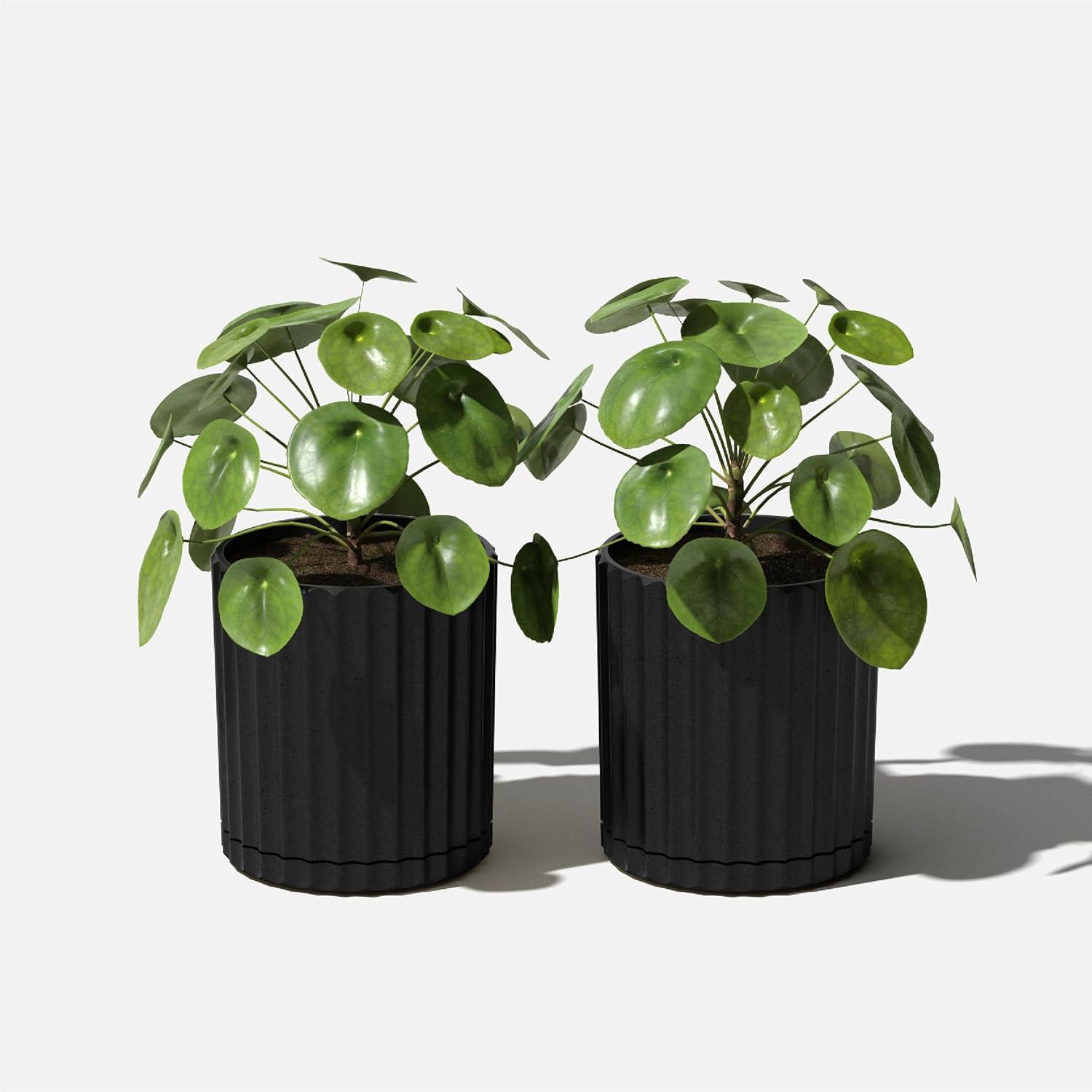 Veradek Mason Series Demi 6" Plastic-Stone Planter 2-Pack Black
