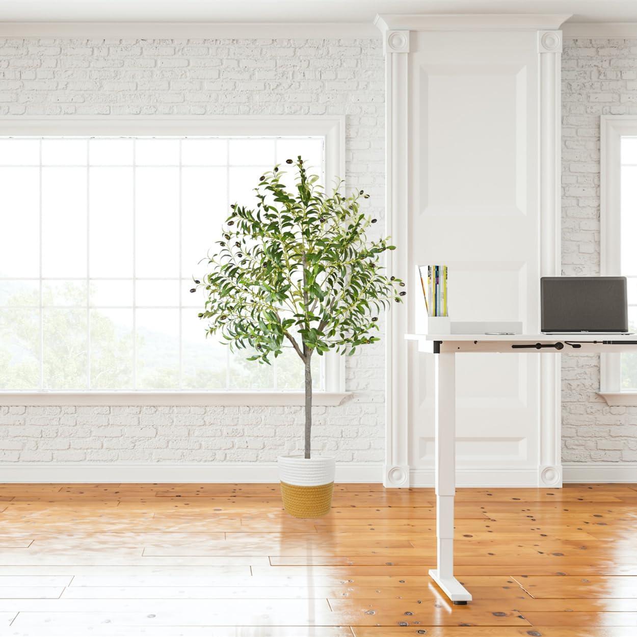 6FT Tall Artificial Olive Tree with Realistic Trunk and Leaves in White Pot