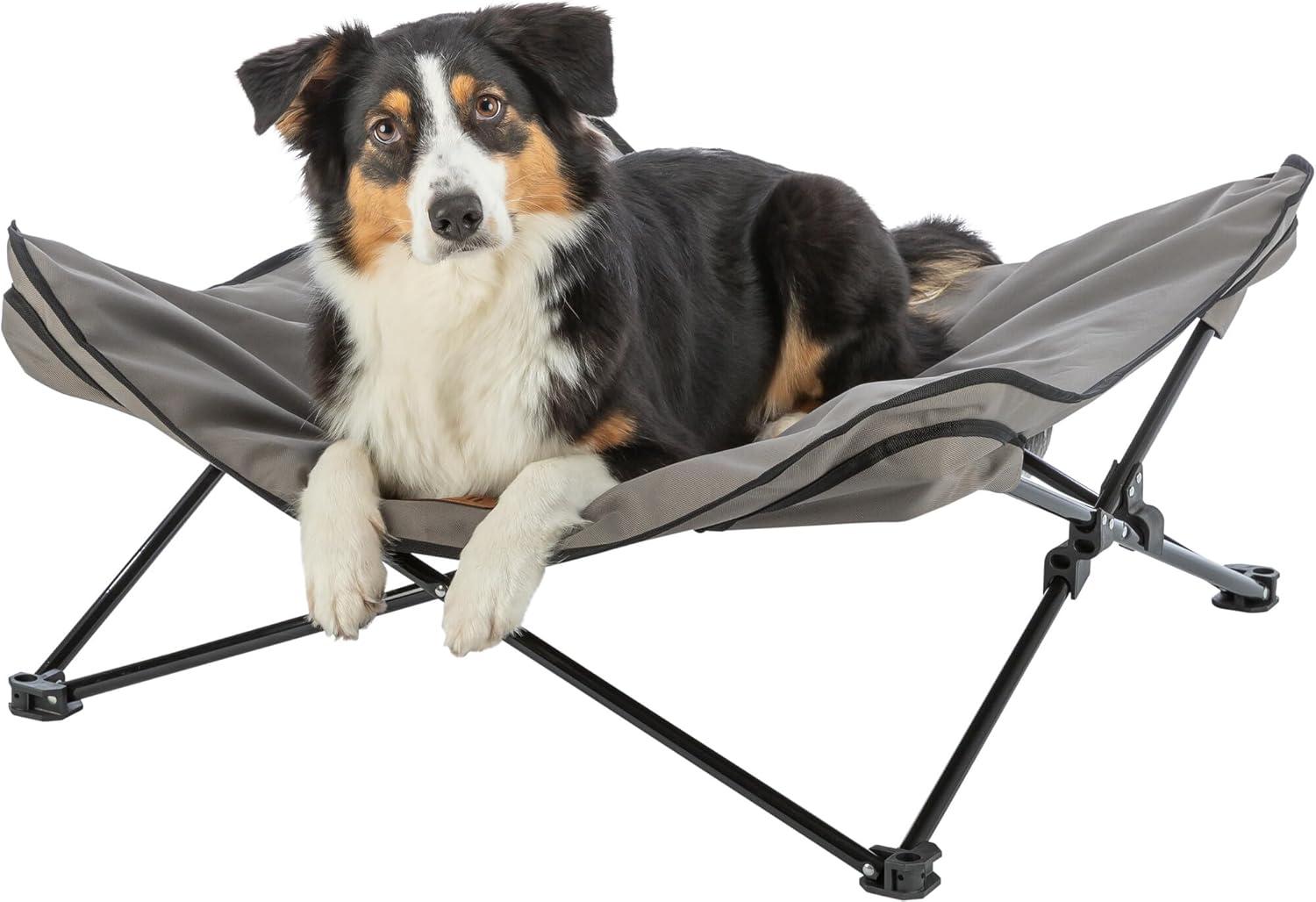 TRIXIE Camping Cot for Dogs, Elevated Dog Bed, Folding Padded Pet Bed, Raised Travel Lounger for Dogs