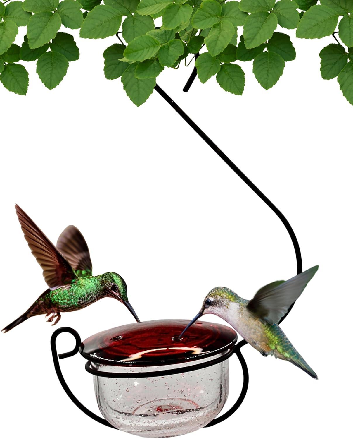 Backyard Essentials Clear Bubble Glass Hanging Hummingbird Feeder - 6 oz