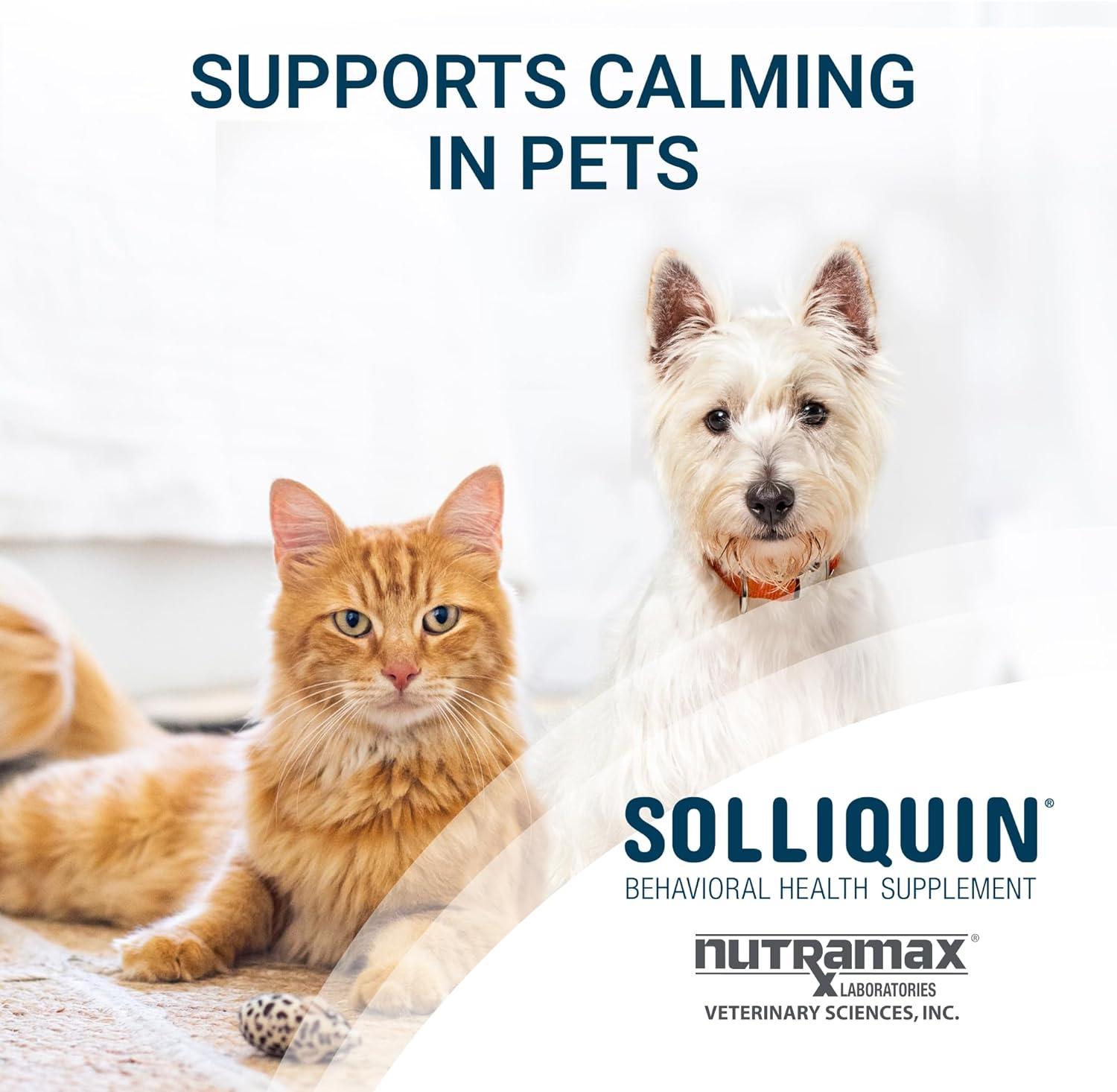 Solliquin Soft Chews Calming for Small & Medium Dogs & Cats 75ct