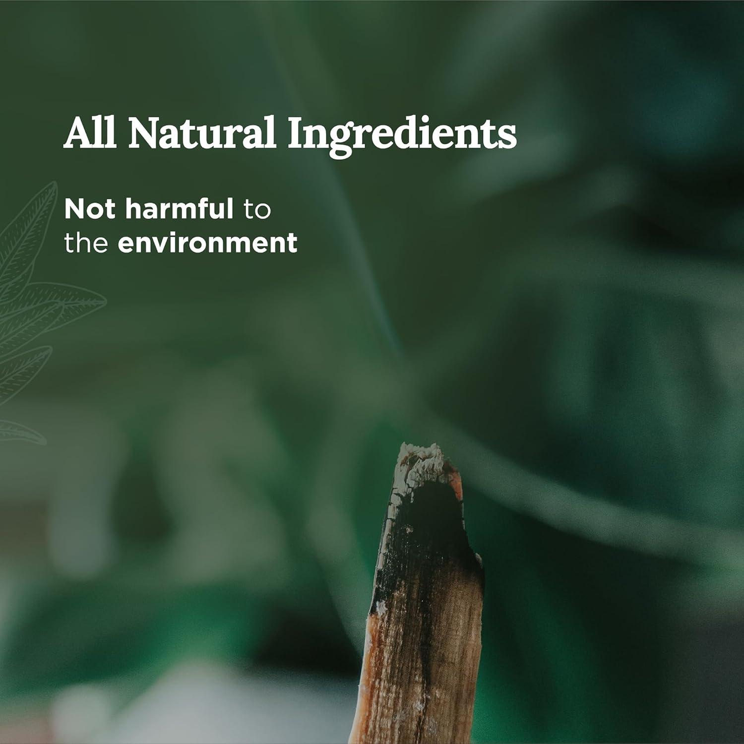 MAGNIFICENT 101 Affirmations Sage, Cedar, Palo Santo, Sprinkle of sage Leaves Smudge Candle for House Energy Cleansing, Banishes Negative Energy - Soy Wax Tin Candle (I Create My Dream Life)