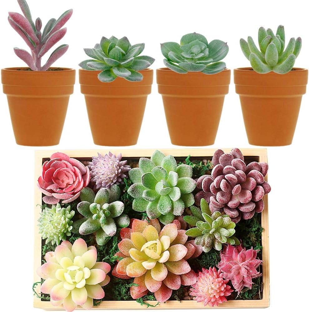 16 Pack Artificial Succulents Plants - Small Fake Plants for Miniature Gardens - Quality PVC Plastic - Faux Succulent Decor - Unique and Varied Designs - Ideal for Beautiful Gardens|The 16 pack of Art