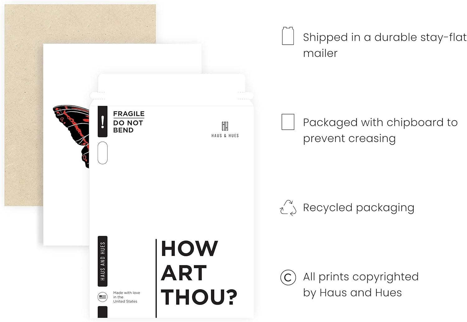 Haus and Hues Butterfly Art Wall Decor - Butterfly Prints Wall Art Modern Aesthetic Pictures for Wall, Moth Art Aesthetic Photos or Butterfly Pictures Wall Decor Moth Poster Wall Art (Unframed, 12x16)