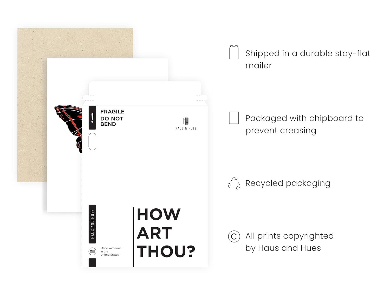 Haus and Hues Butterfly Art Wall Decor - Butterfly Prints Wall Art Modern Aesthetic Pictures for Wall, Moth Art Aesthetic Photos or Butterfly Pictures Wall Decor Moth Poster Wall Art (Unframed, 12x16)