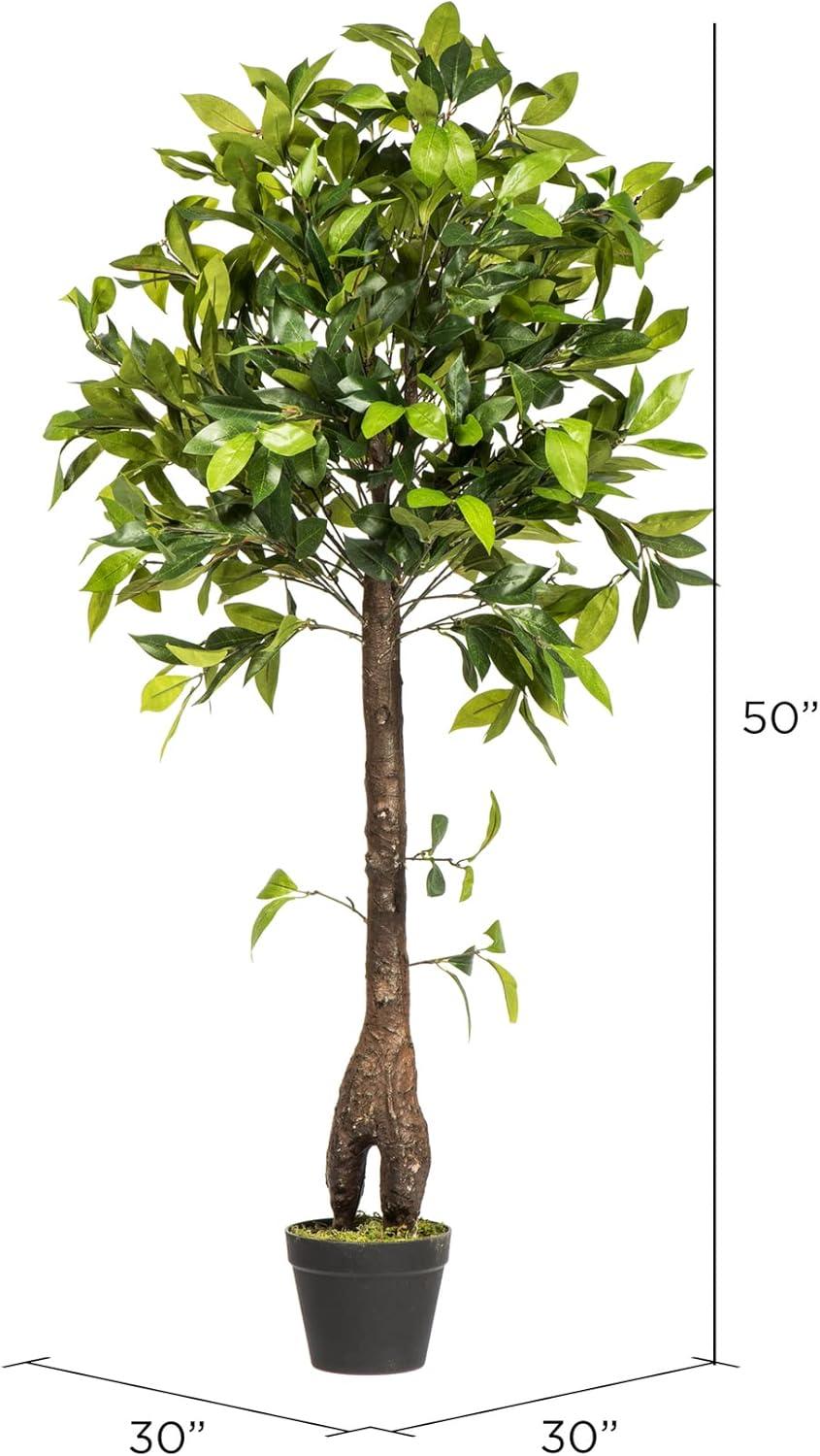 Vickerman Artificial Camellia Tree in Pot 50": Silk Polyester Foliage, Indoor Floor Decor, No Assembly Required