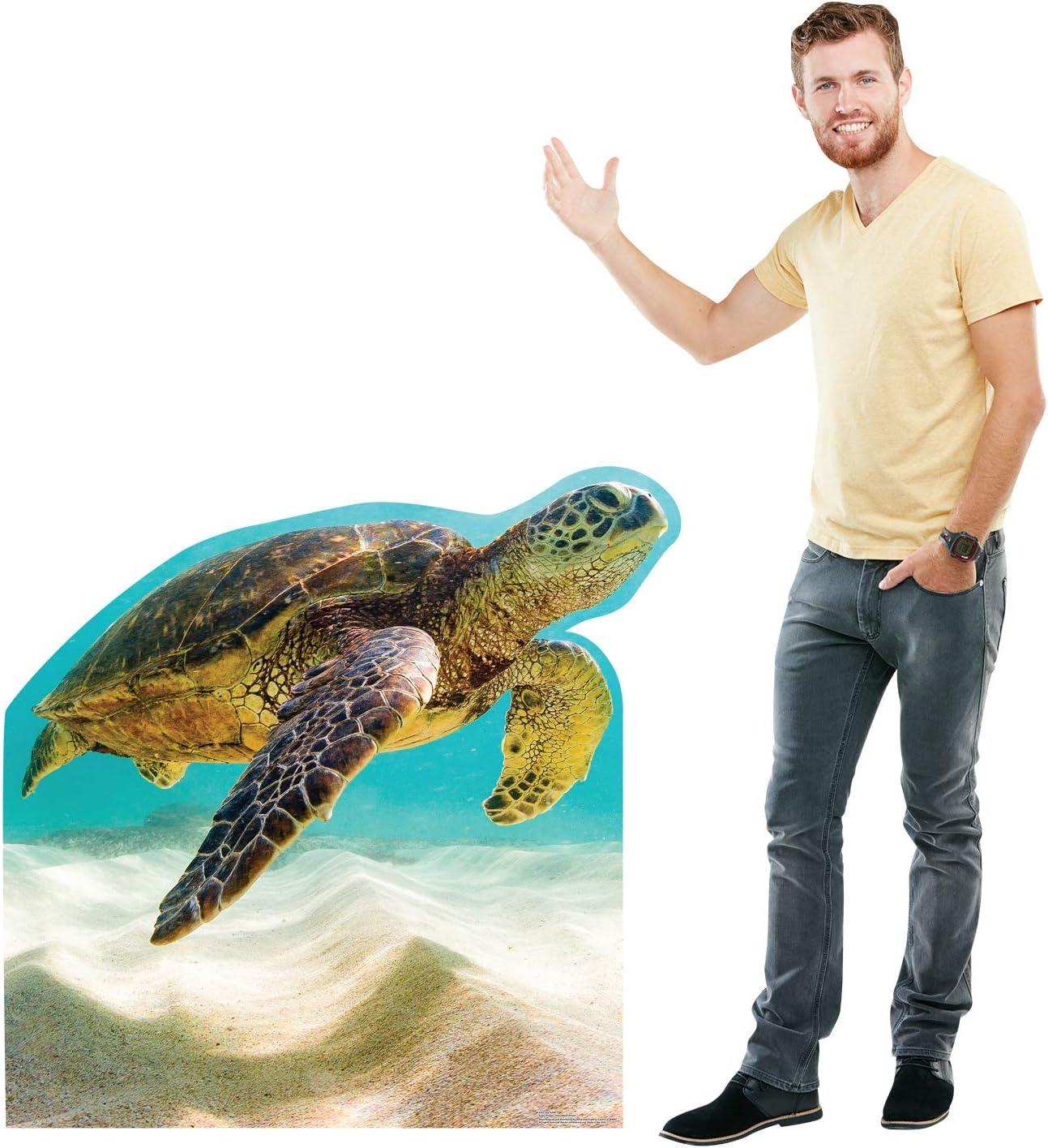 43 x 45 in. Sea Turtle Cardboard Cutout