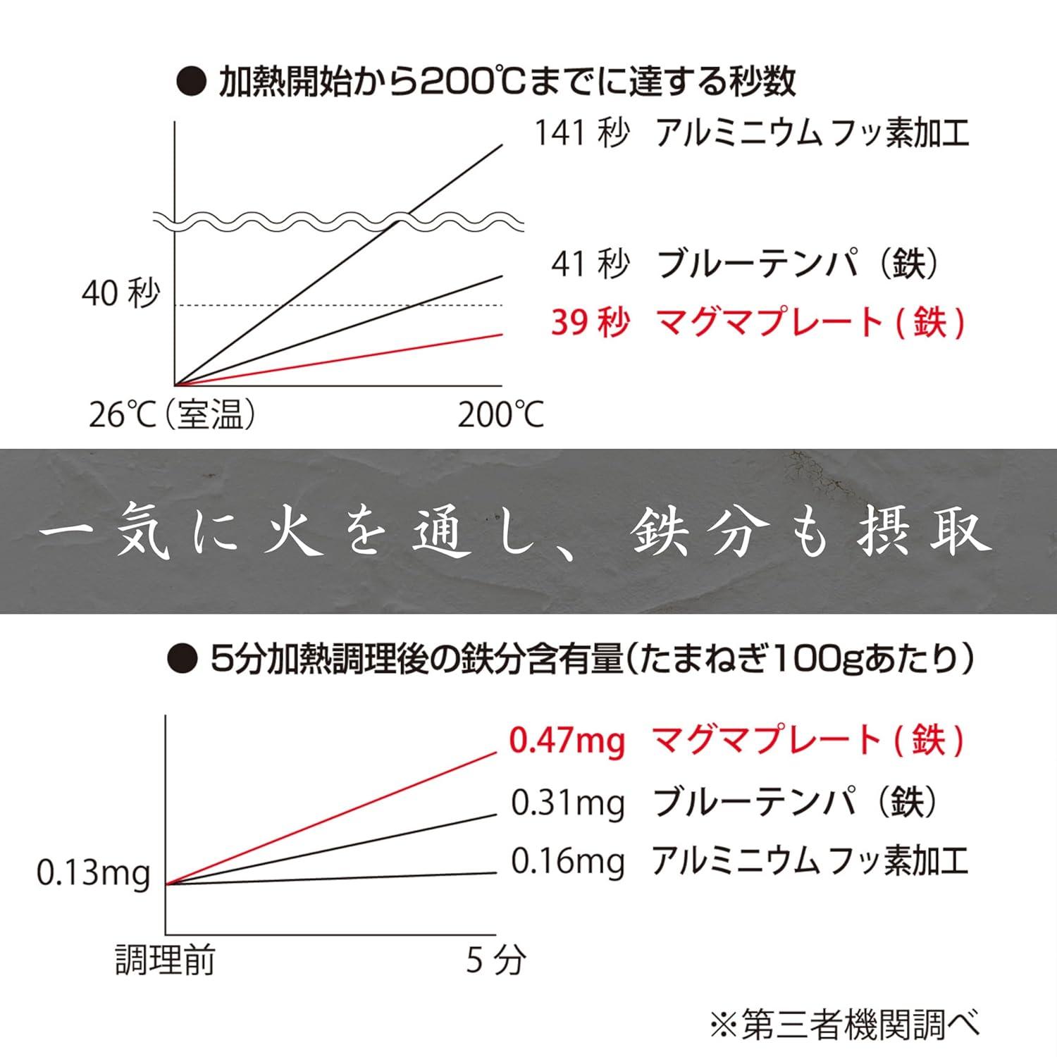TAKUMI JAPAN Magma Plate Iron Frying Pan 20cm