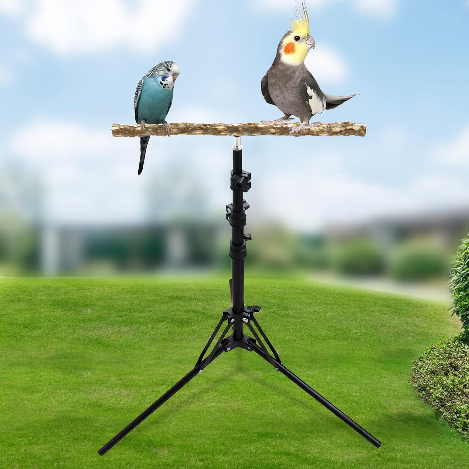 ZY16-63 Inch Height Adjustable Bird Perch Stand, Natural Pepper Wood Parrot Perch Toy, Bird Training Perch Stand, Indoor and Outdoor Bird Stands for Small to Medium Bird-1008