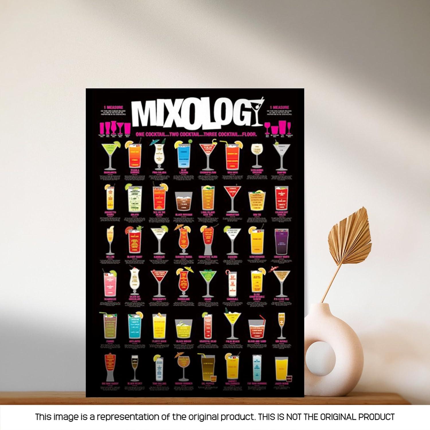 Mixology Laminated Poster (24 x 36)