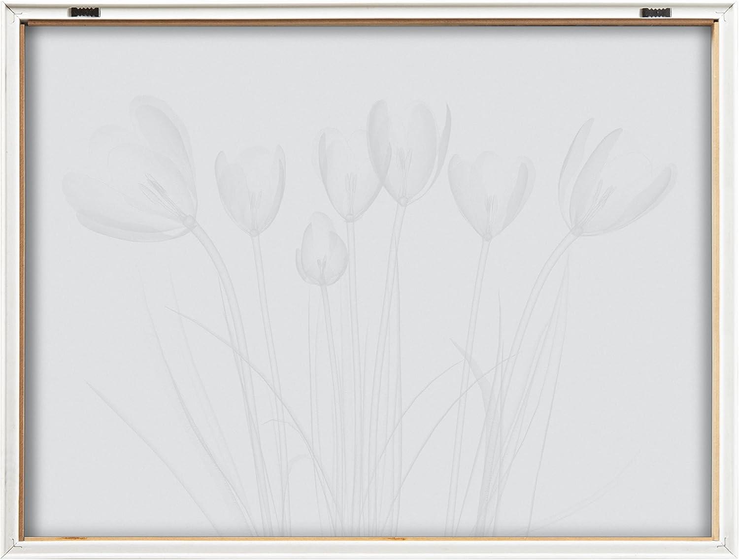 Kate and Laurel Blake Crocus X Ray Floral BW Framed Printed Glass Wall Art by The Creative Bunch Studio, 18x24 Natural, Decorative Modern Flower Art Print for Wall