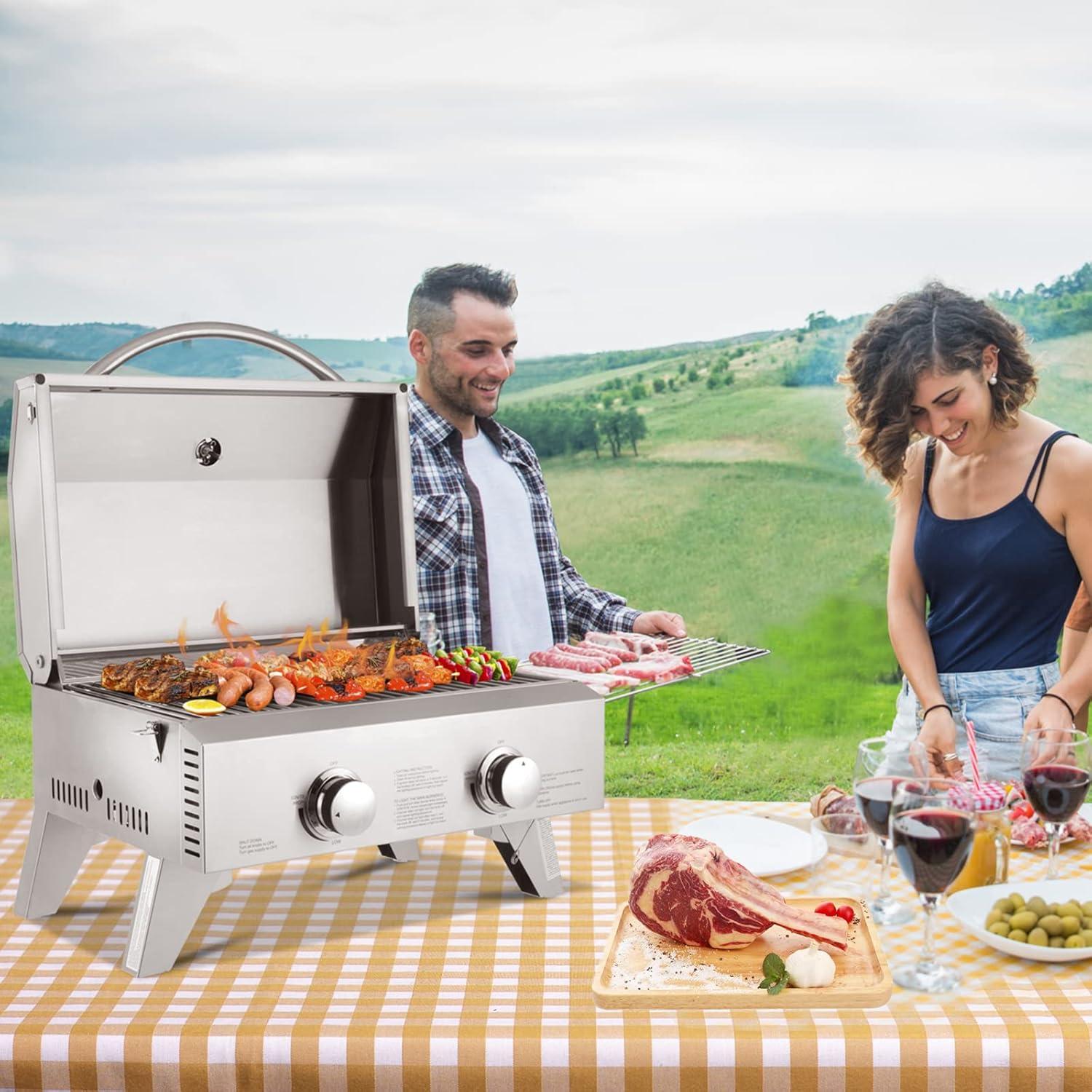 Stainless Steel 2-Burner Portable Propane Gas Grill