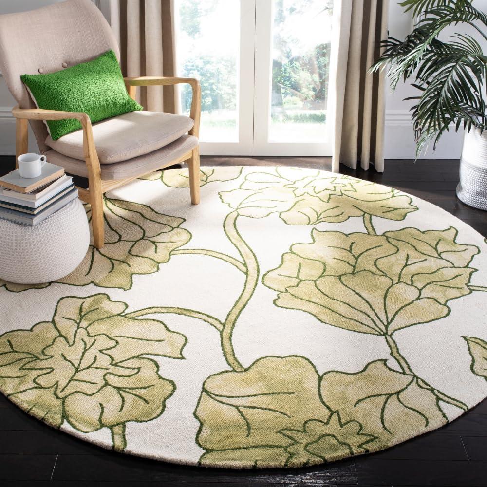 Dip Dye DDY683 Hand Tufted Area Rug  - Safavieh