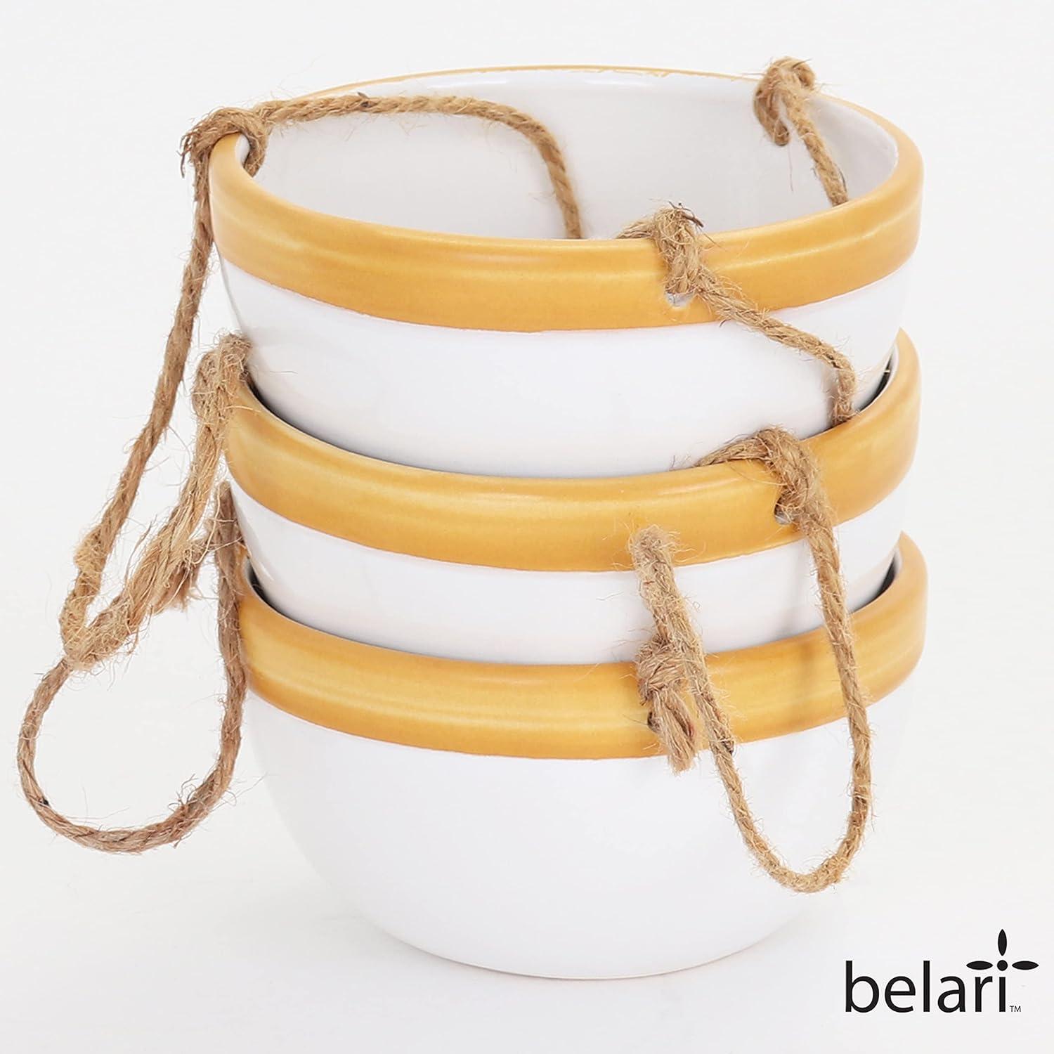 Belari Ceramic Hanging Planter