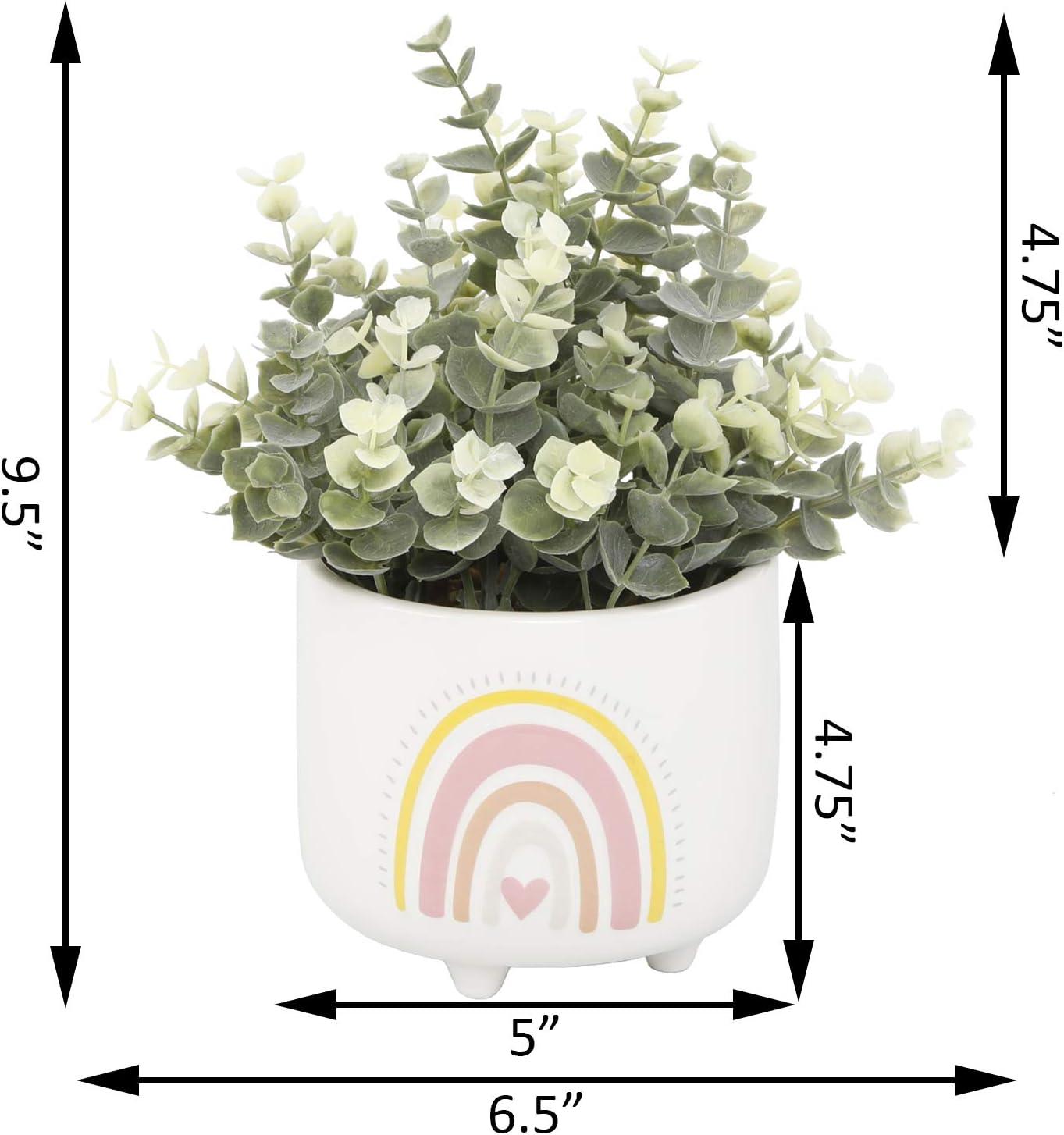 Flora Bunda CS5382E-PK Eucalyptus in 4.75'  Double Rainbow Footed Pot