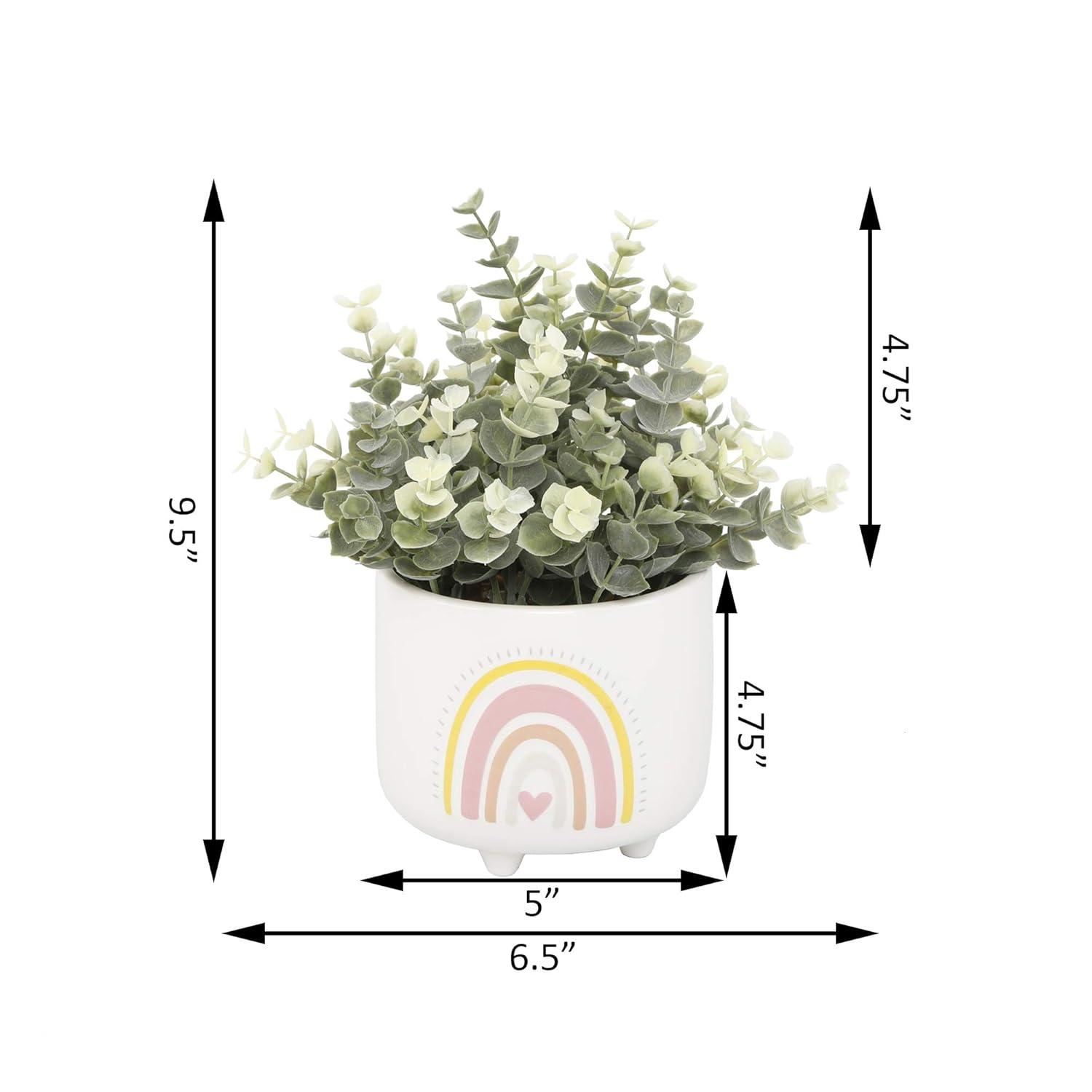 Flora Bunda CS5382E-PK Eucalyptus in 4.75'  Double Rainbow Footed Pot