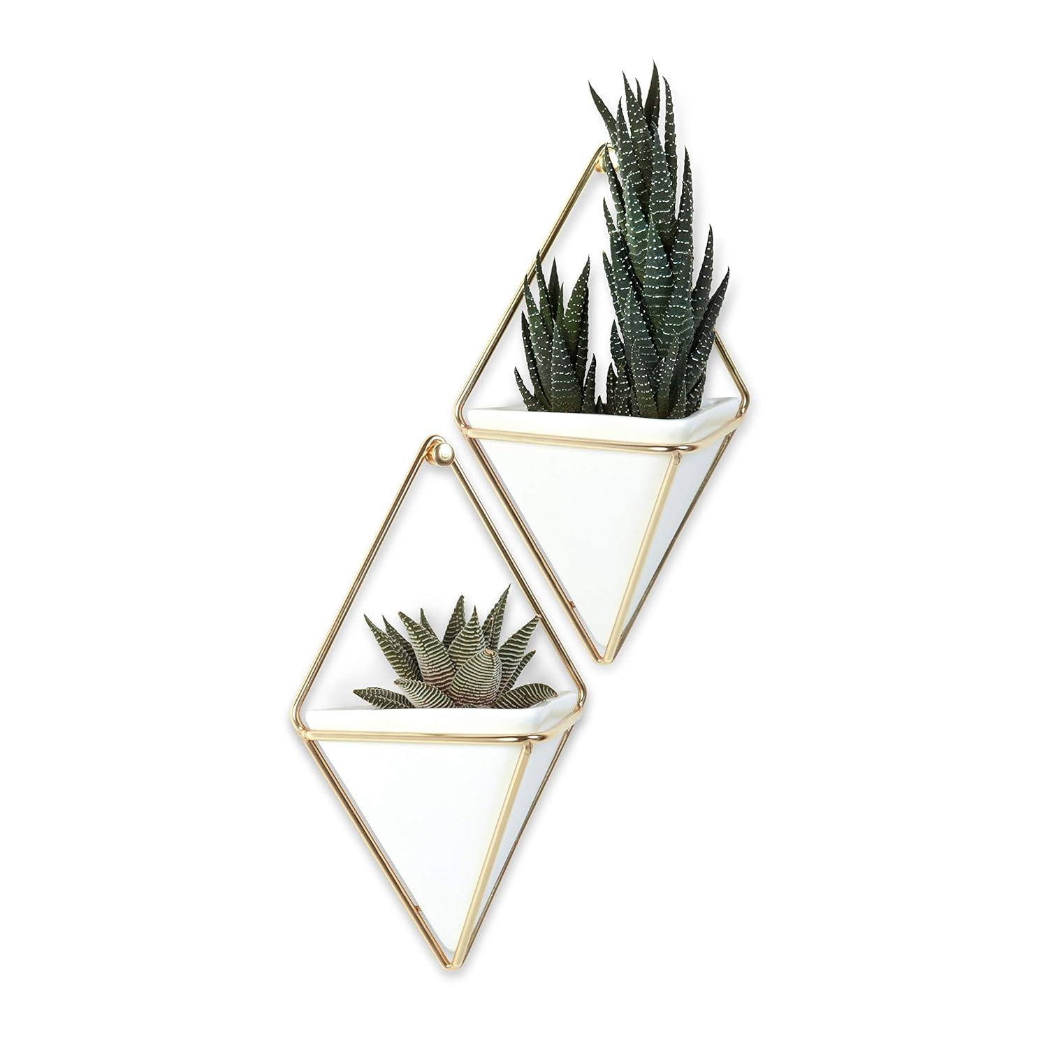 Trigg Wall Décor