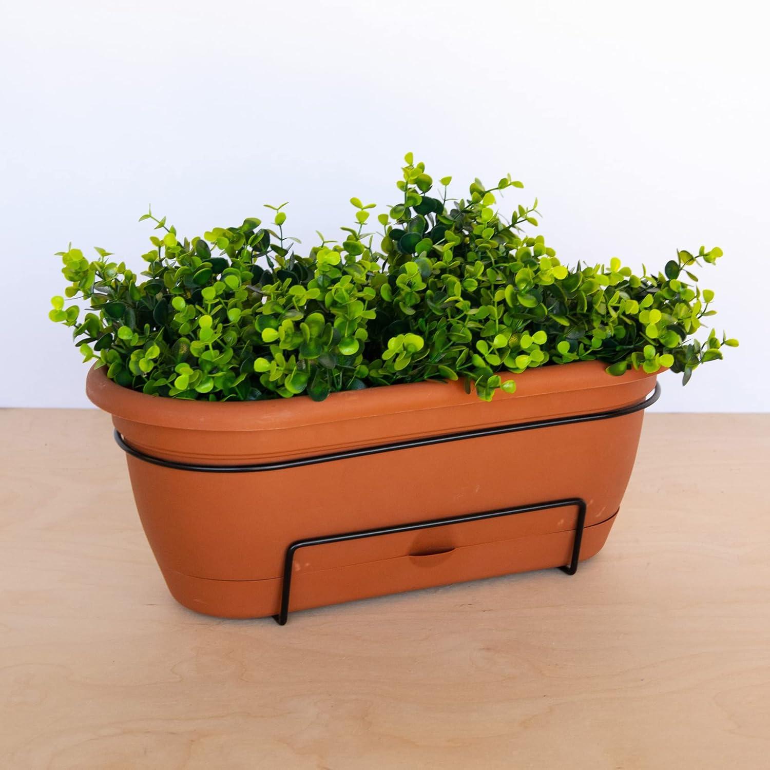 Bloem 7.5 in. H X 9.13 in. W X 18 in. D Resin Lucca Window Box Terracotta