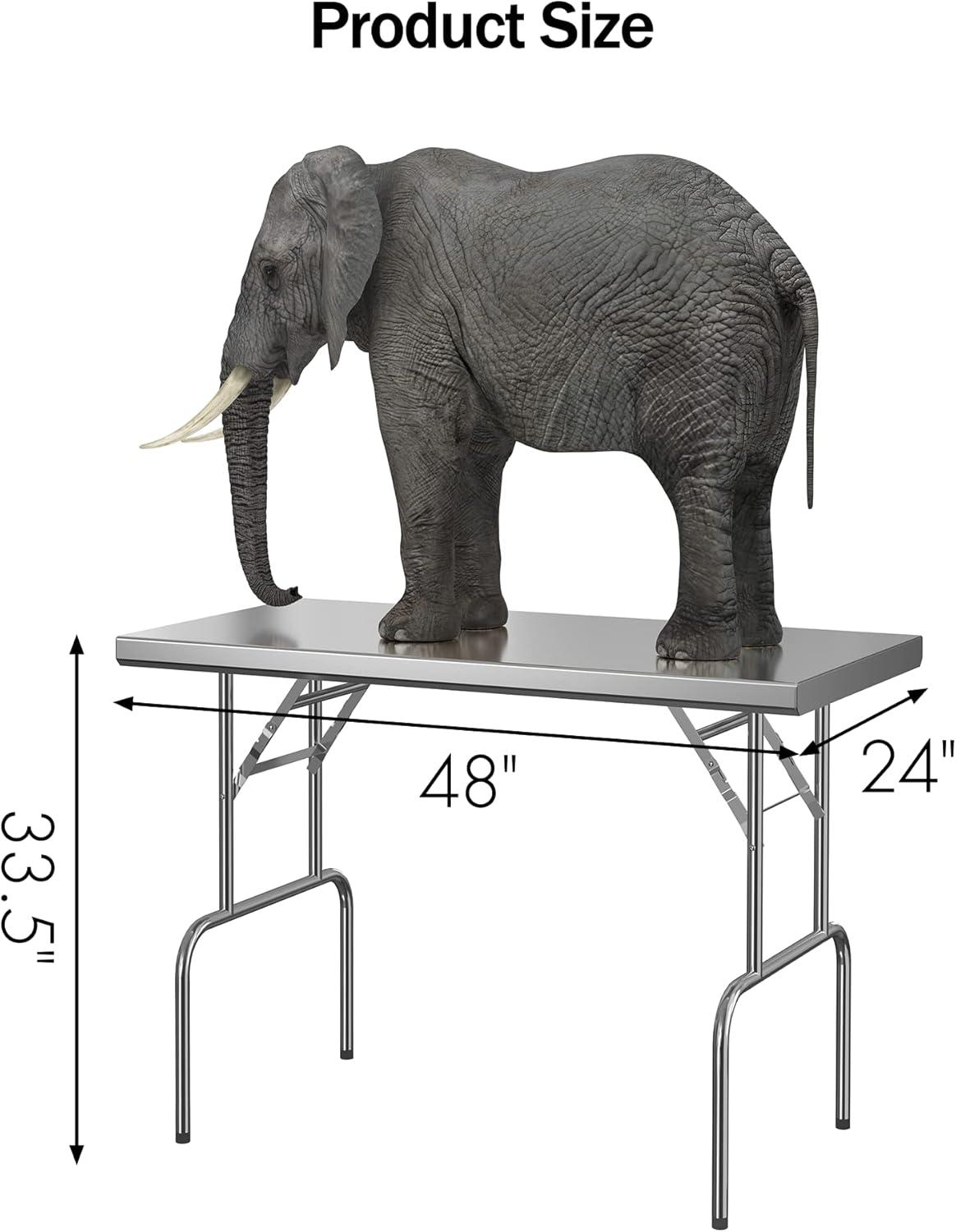 Garvee 24 x 48 Inch Stainless Steel Folding Table