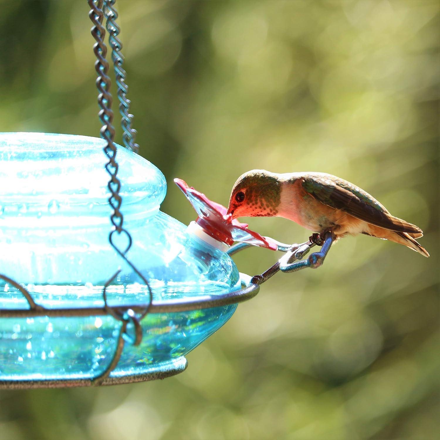 Mason Jar Blue Glass Top Fill Hummingbird Glass Feeder 16 oz.
