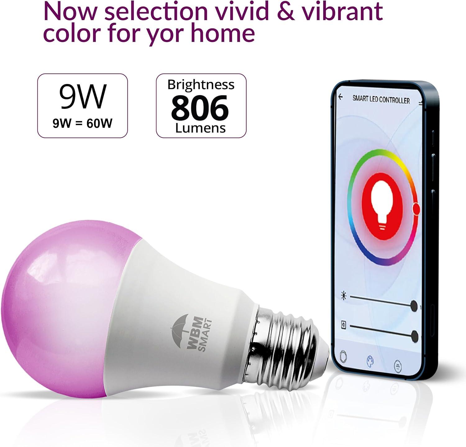 WBM LLC 1651B-4PK-01 Himalayan Glow 40 Watt Equivalent E26/Medium (Standard) Light Bulb (Set of 4)