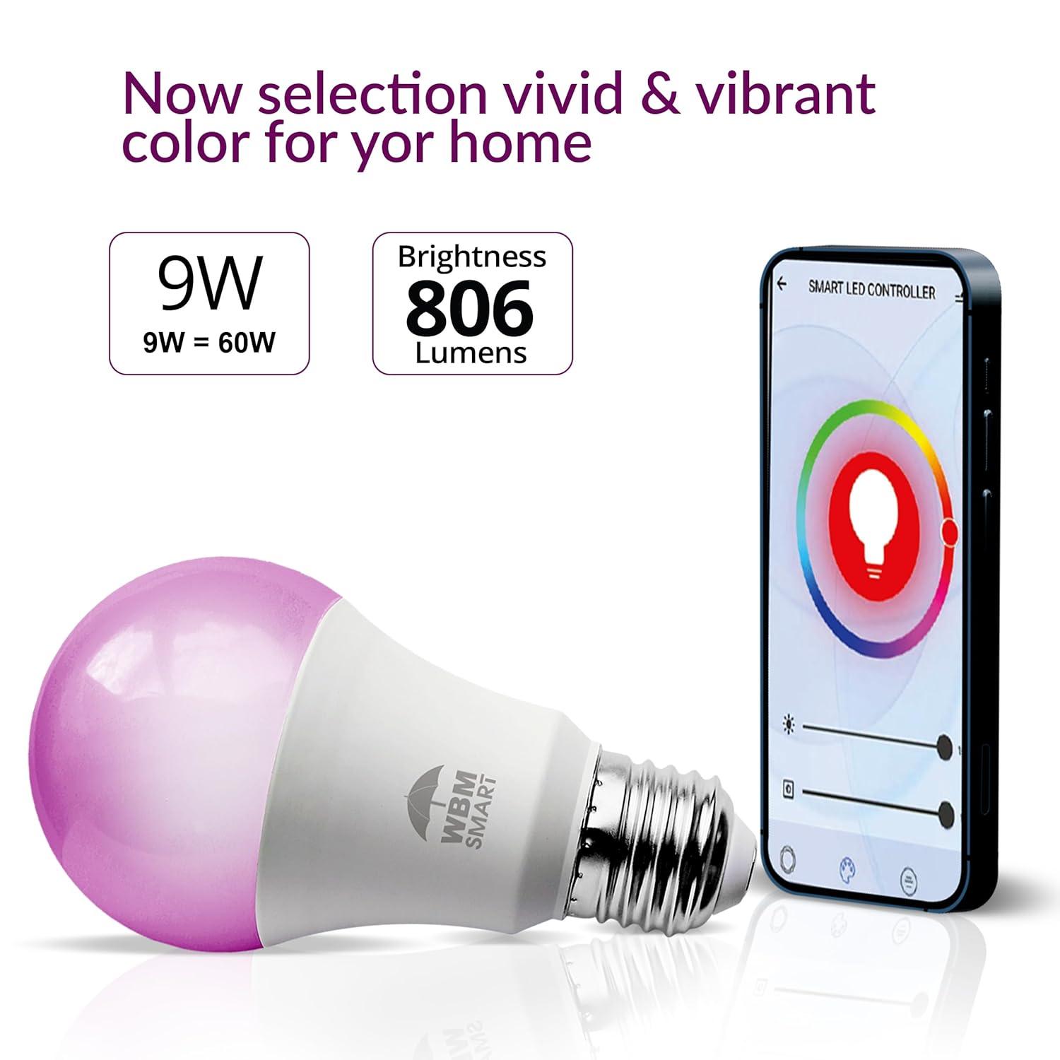 WBM LLC 1651B-4PK-01 Himalayan Glow 40 Watt Equivalent E26/Medium (Standard) Light Bulb (Set of 4)