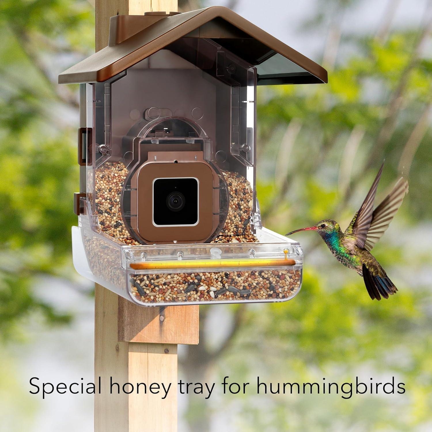 Wasserstein Bird Feeder Camera Case Compatible with Blink, Wyze, and Ring Cam - Bird Feeder for Bird Watching with Your Security Cam - (Camera NOT Included)