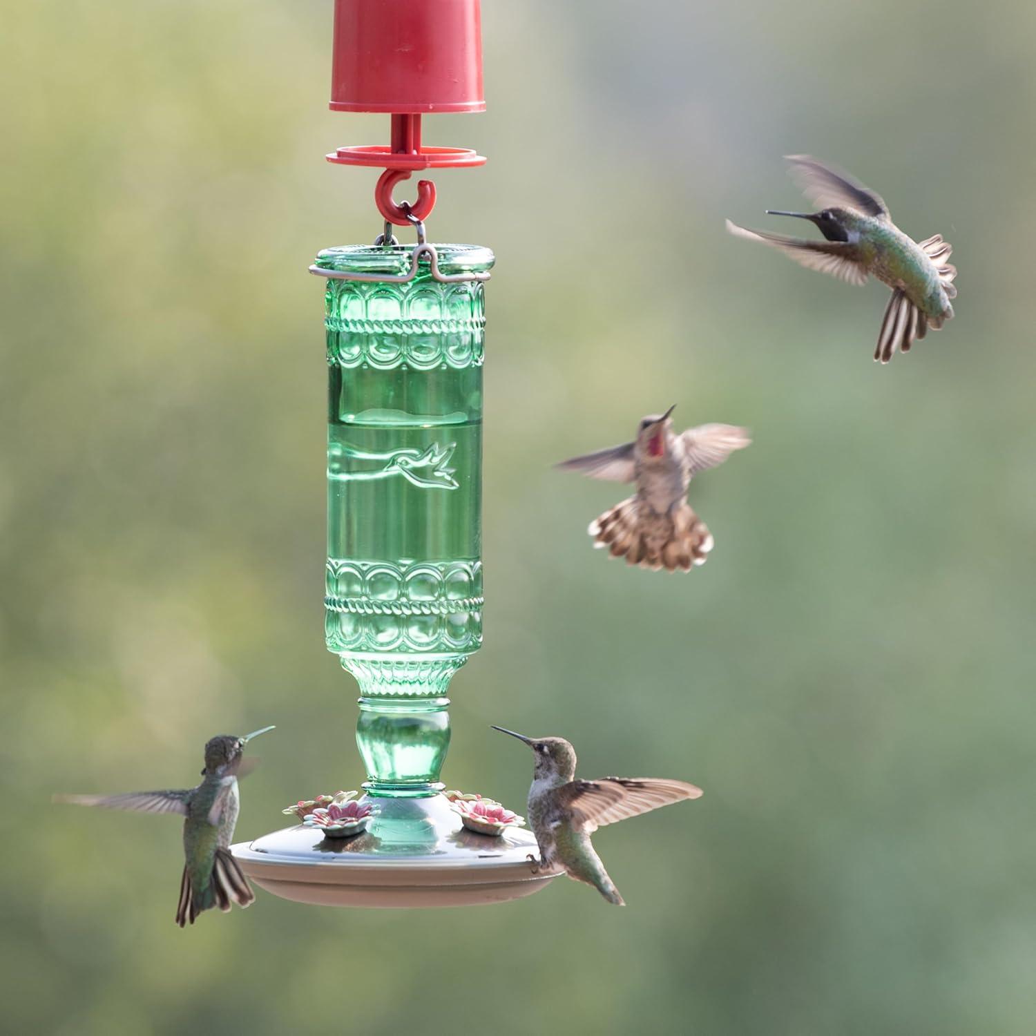 Woodstream Glass Hanging Soda Bottle Feeder