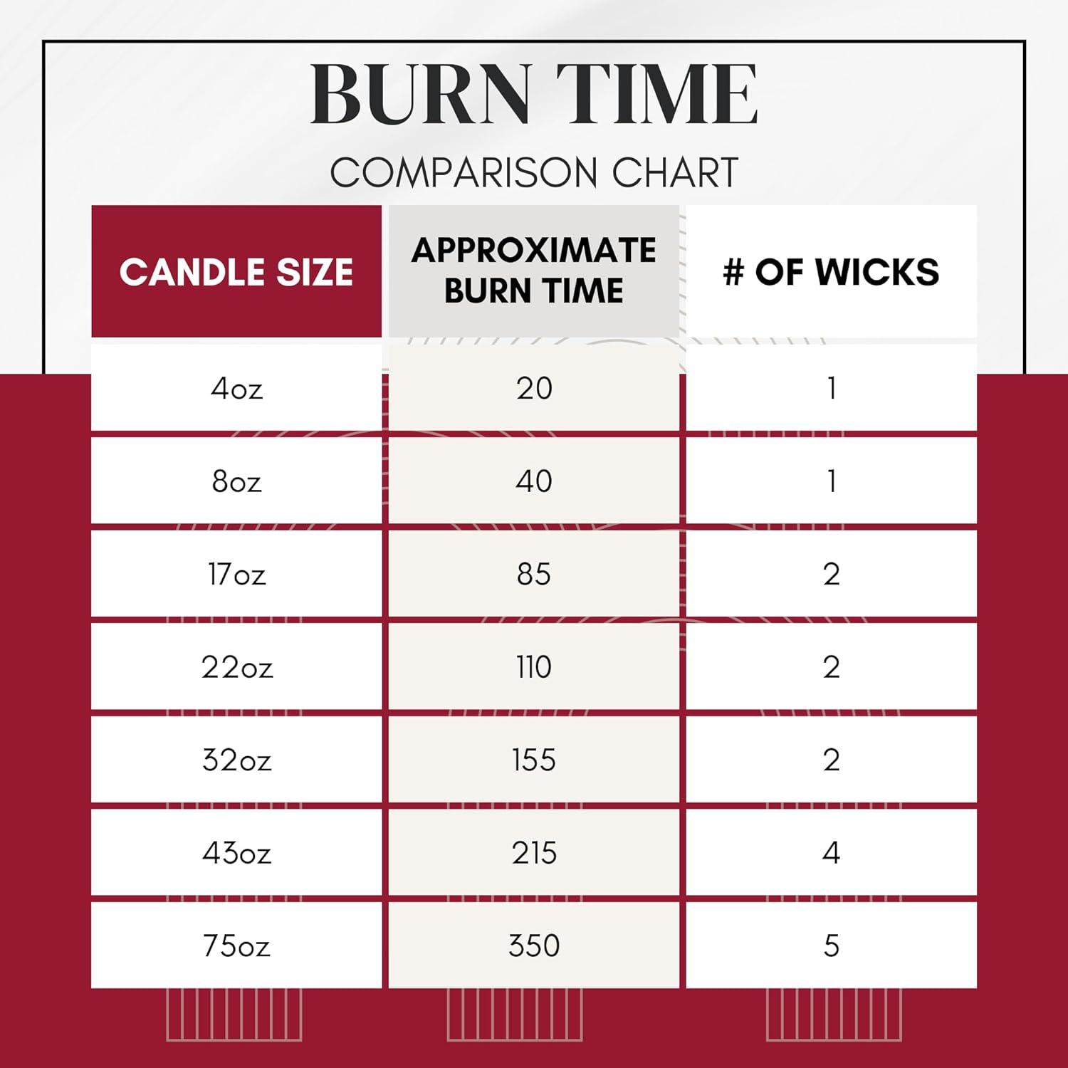 Circle E Candles, Bird of Paradise Scent, Large Size Jar Candle, 32oz, 2 Wicks