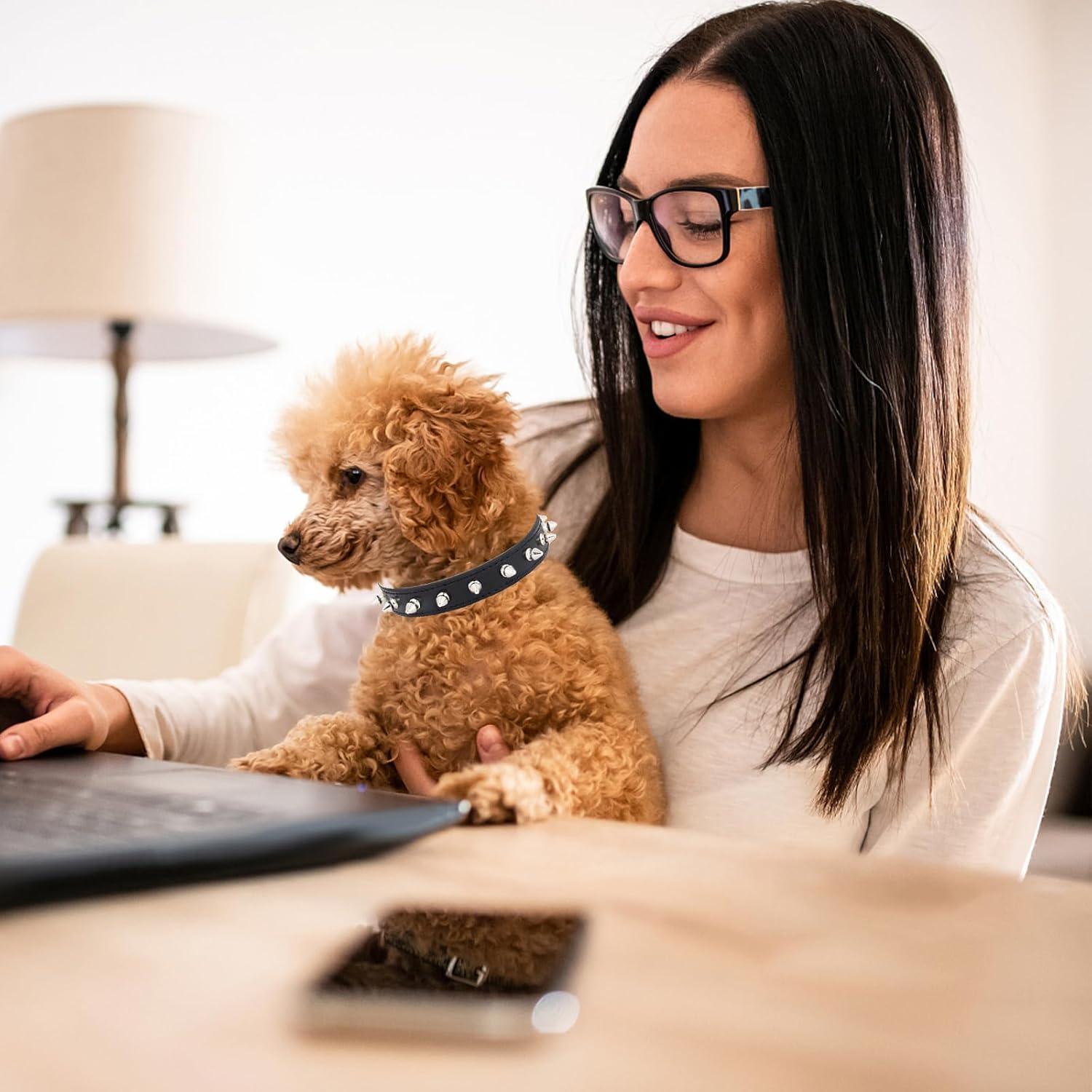 Dog Collar with Spikes,Rivet Dog Collar, Leather Spiked Studded Dog Pet Collars for Small Medium Large Dogs (L: for Neck Girth: 13 2/5-18 in, Black)