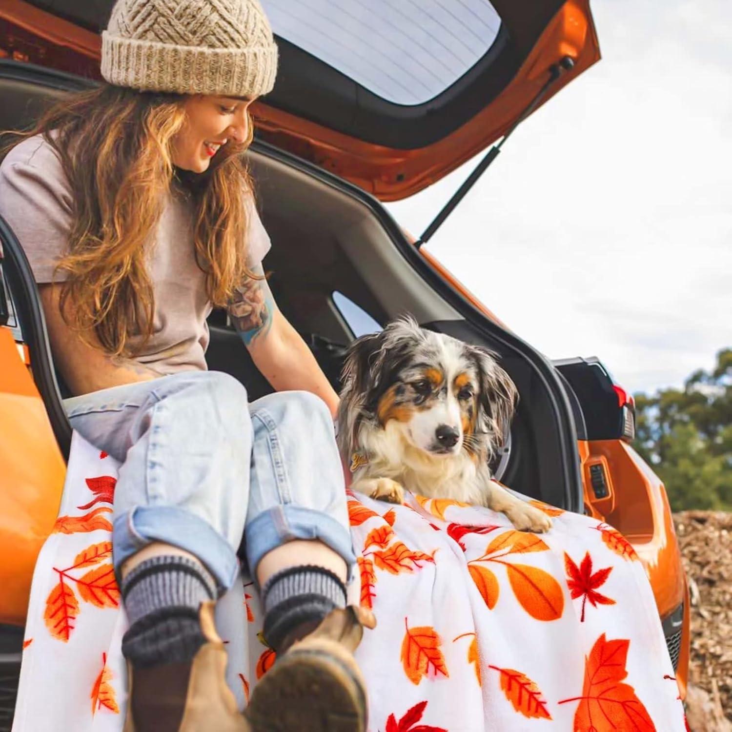 Fall Throw Blanket, Halloween Pumpkin Autumn Plush Fall Decor Fleece Fuzzy Picnic Throw Blanket for Couch Sofa Chairs, Cute Holiday Orange Leaf Blankets and Throws for Home (50" x 60")\u2026